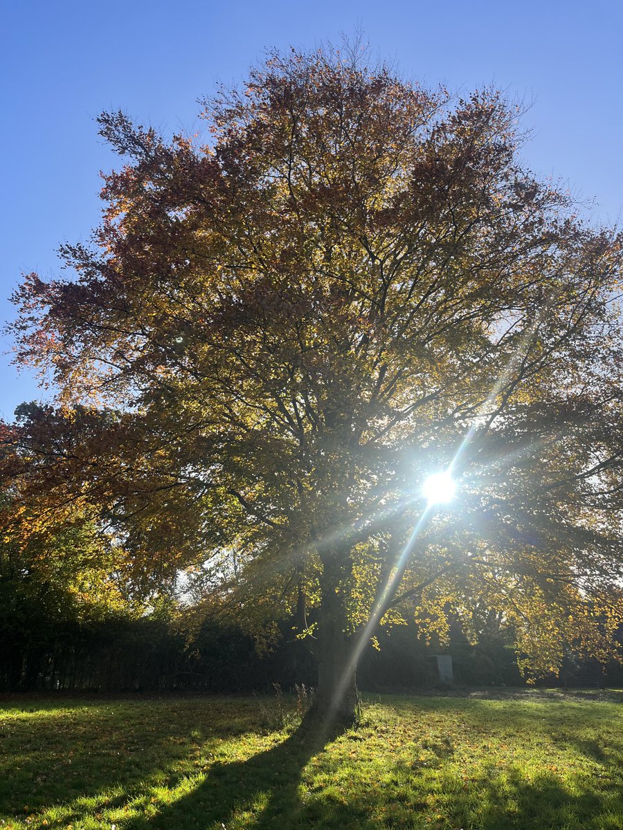 Sc07land's tweet image. Morning has broken !  #pangbourne
💙🏴󠁧󠁢󠁳󠁣󠁴󠁿💙🥰