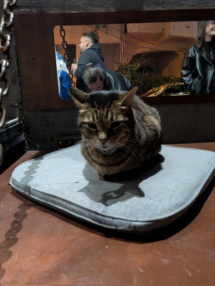 Тбилисовое