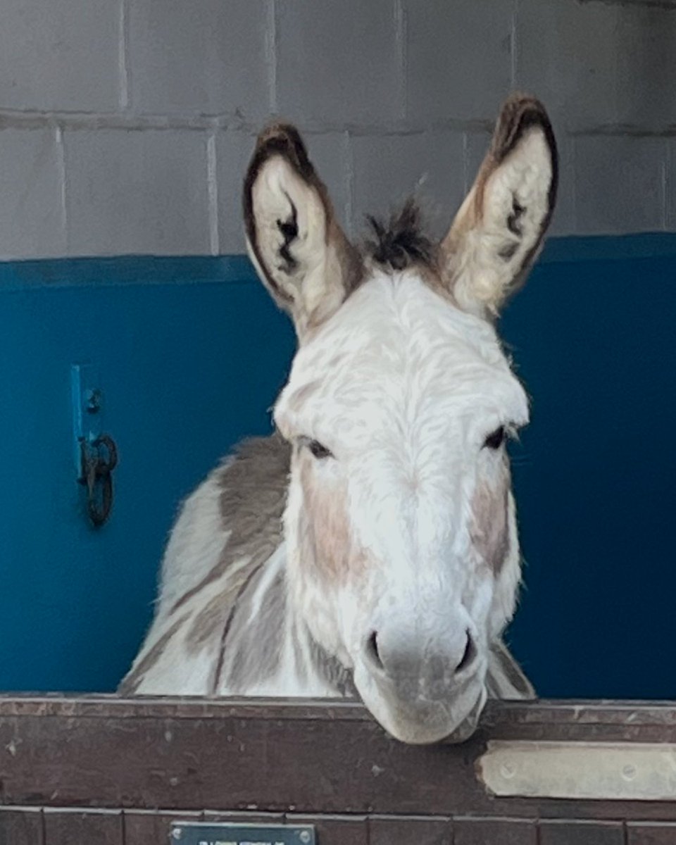 It's the first of the month, and who better to spend it with than Theo? 💫