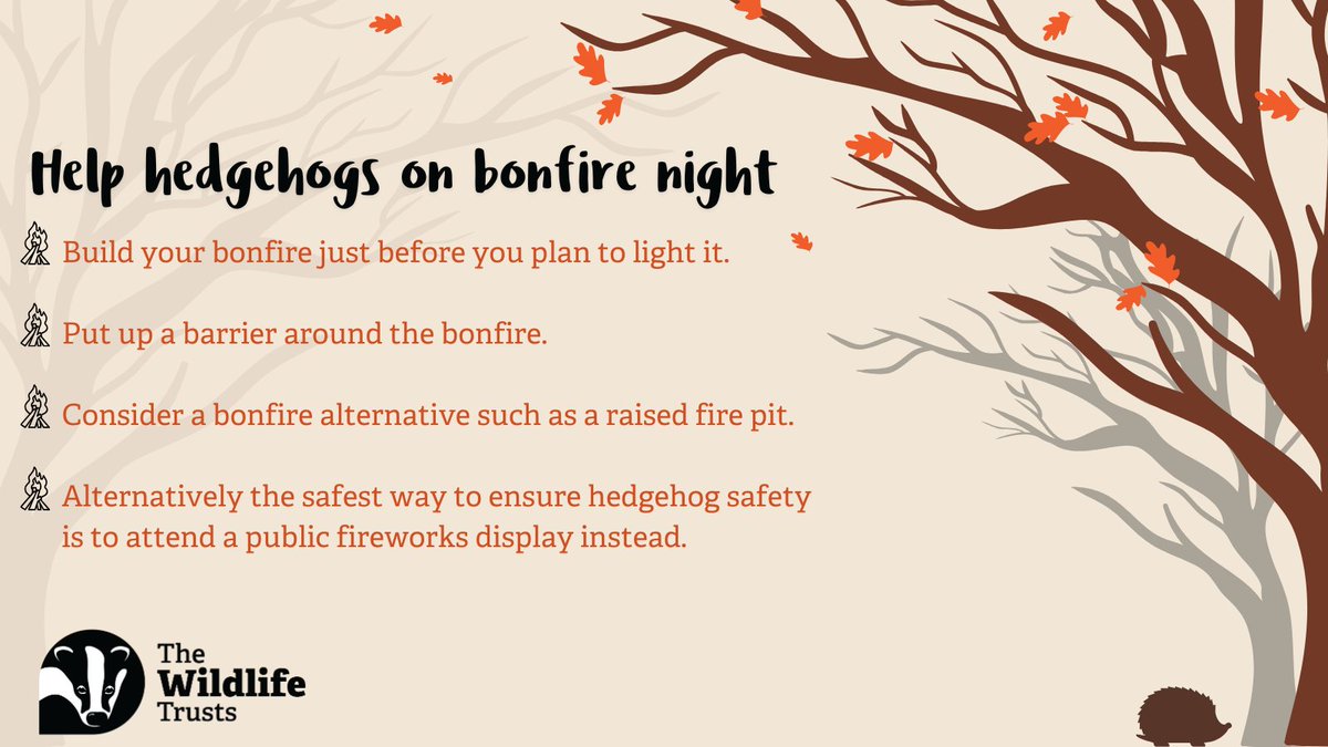 As we approach Bonfire Night it's good to know how you can help keep our prickly friends safe this autumn by checking your bonfire for hedgehogs! 🦔 🔥

Find out more 👉 wildlifetrusts.org/actions/how-ch…