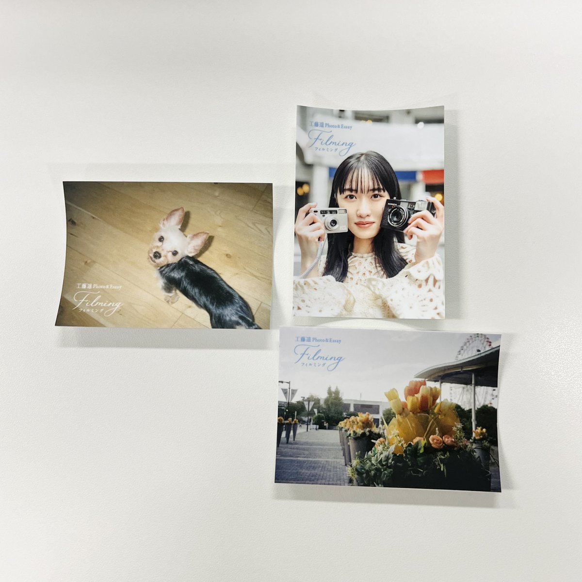 QJWeb（クイック・ジャパン ウェブ） on X