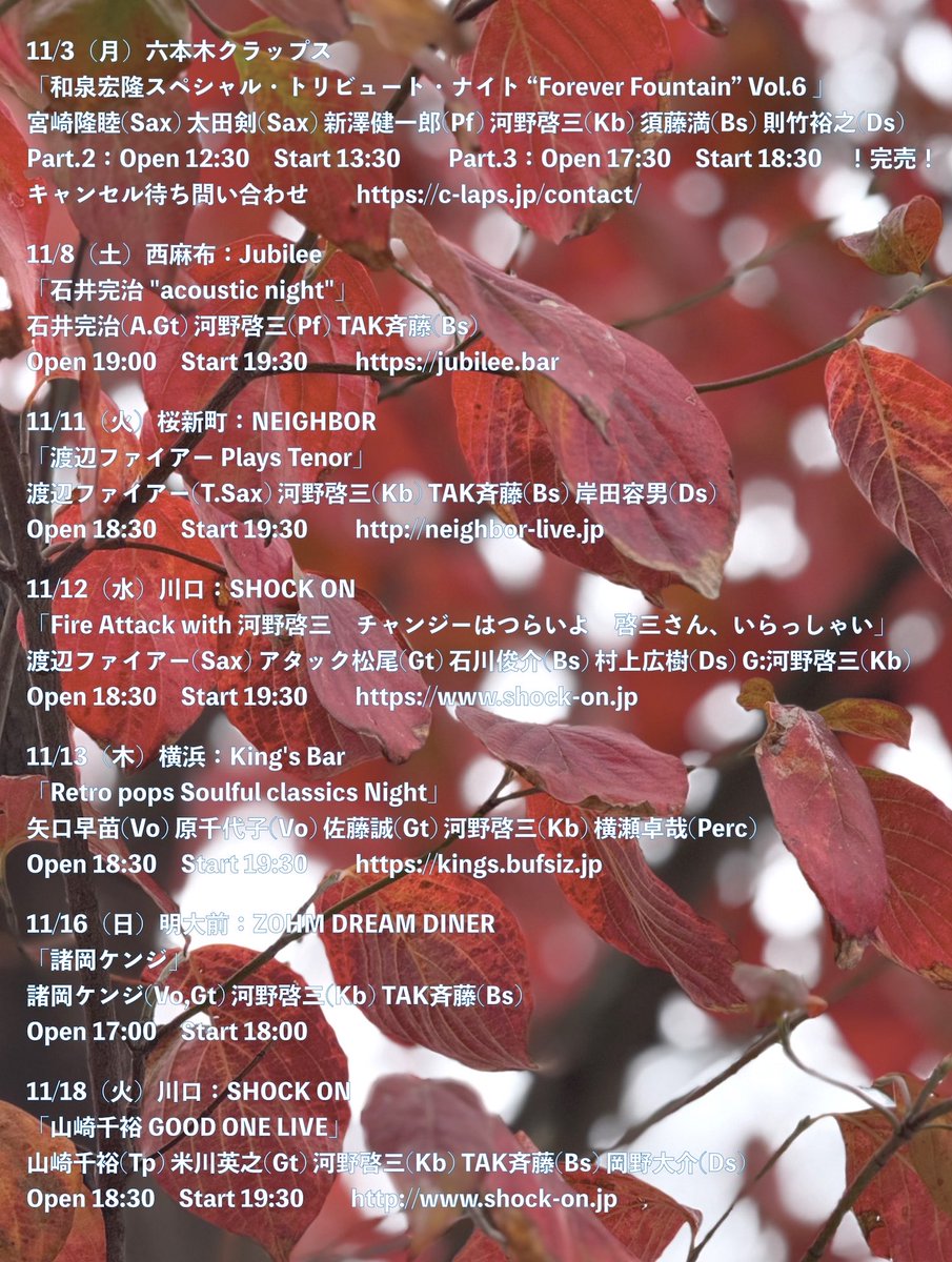 11月、
この秋も最終コーナーへさし掛かろうという、その先は真っ直ぐ冬へと続く上り坂🛣️　先頭ハナミズキ2葉身リード🍁🍁
勝負の神無月、微笑みは誰のため　🫨

今月の予定です🎶

天候の変化に気をつけて、今年も良い秋を🍂