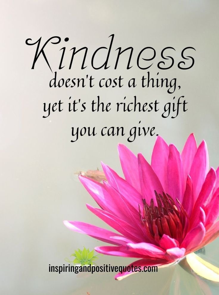 Colleen5m's tweet image. #GoodSaturday🍃🍂🍃🍂🍃
#GoodMorningEveryone 🌹🌹
#KindnessMatters 🍂🍃🍂🍃