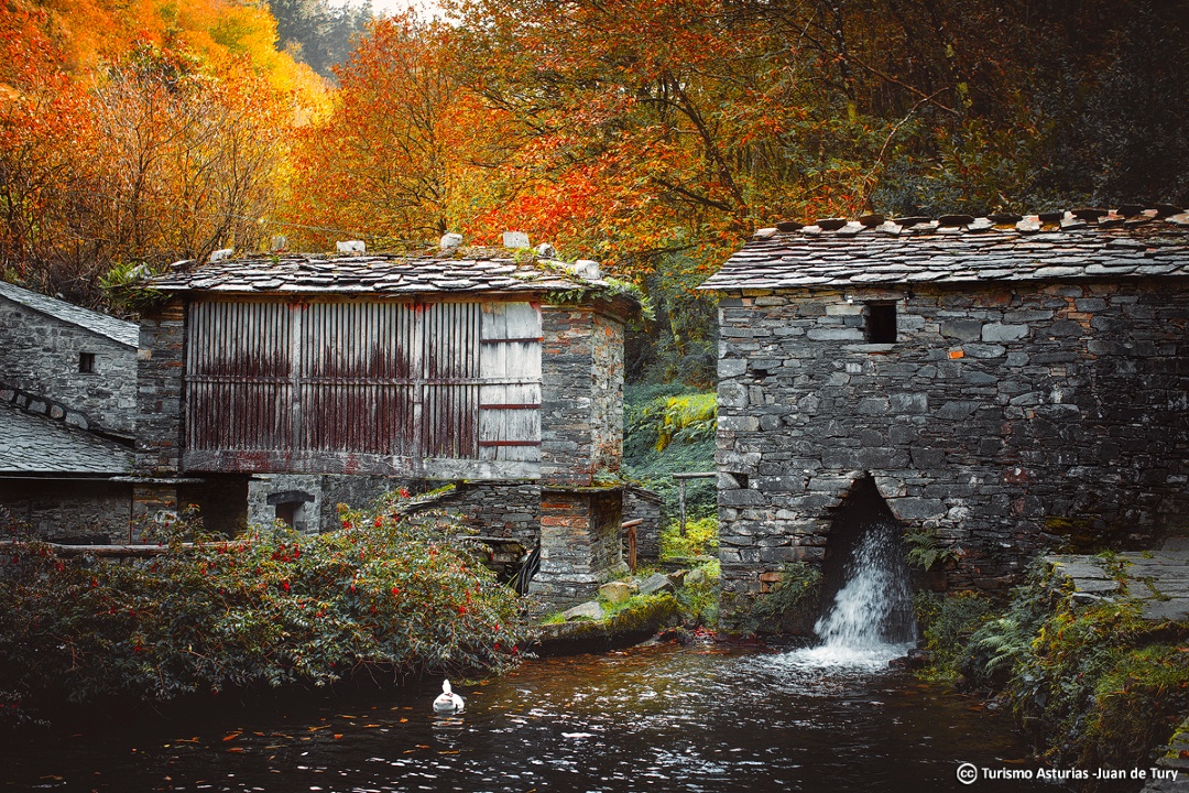 Este otoño, Asturias te lo pone fácil 🍁
Viaja, desconecta y vive el paraíso con los Bonos de Turismo Rural, que te ofrecen hasta 150 € de descuento en tu escapada 🌿
🔗 bonosturismoruralasturias.com