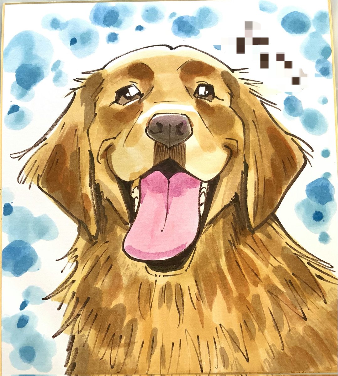 aidakousuke7's tweet photo. 某所イベントでお描きしましたお客様の似顔絵になります！
今回はペット似顔絵でした！
ご掲載の許可を頂きましたのでご紹介させていただきます！
皆様ありがとうございました！
#ペット似顔絵 https://t.co/aQqtmGbqw4