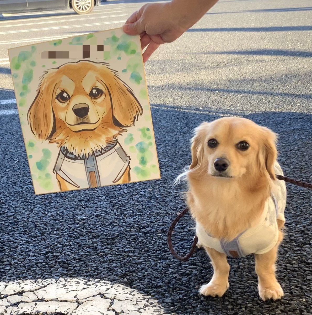 aidakousuke7's tweet photo. 某所イベントでお描きしましたお客様の似顔絵になります！
今回はペット似顔絵でした！
ご掲載の許可を頂きましたのでご紹介させていただきます！
皆様ありがとうございました！
#ペット似顔絵 https://t.co/aQqtmGbqw4