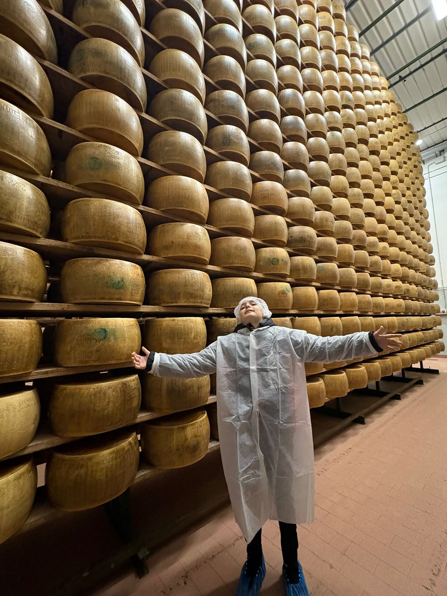 MotorPassion's tweet photo. Its all about the food, cars and architecture here in Bologna https://t.co/75NmDCPTmW