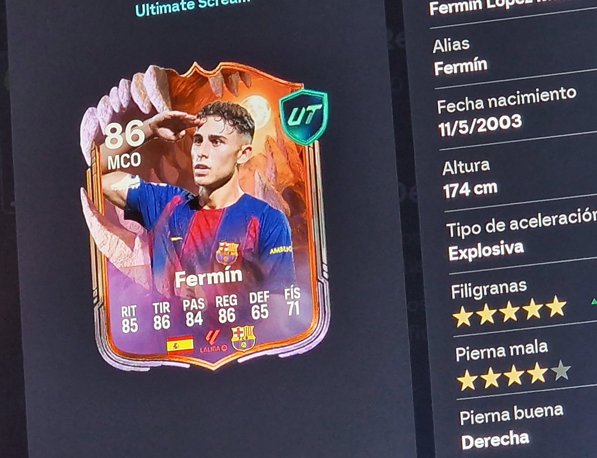 Bernat Castro 🦊 tweet media