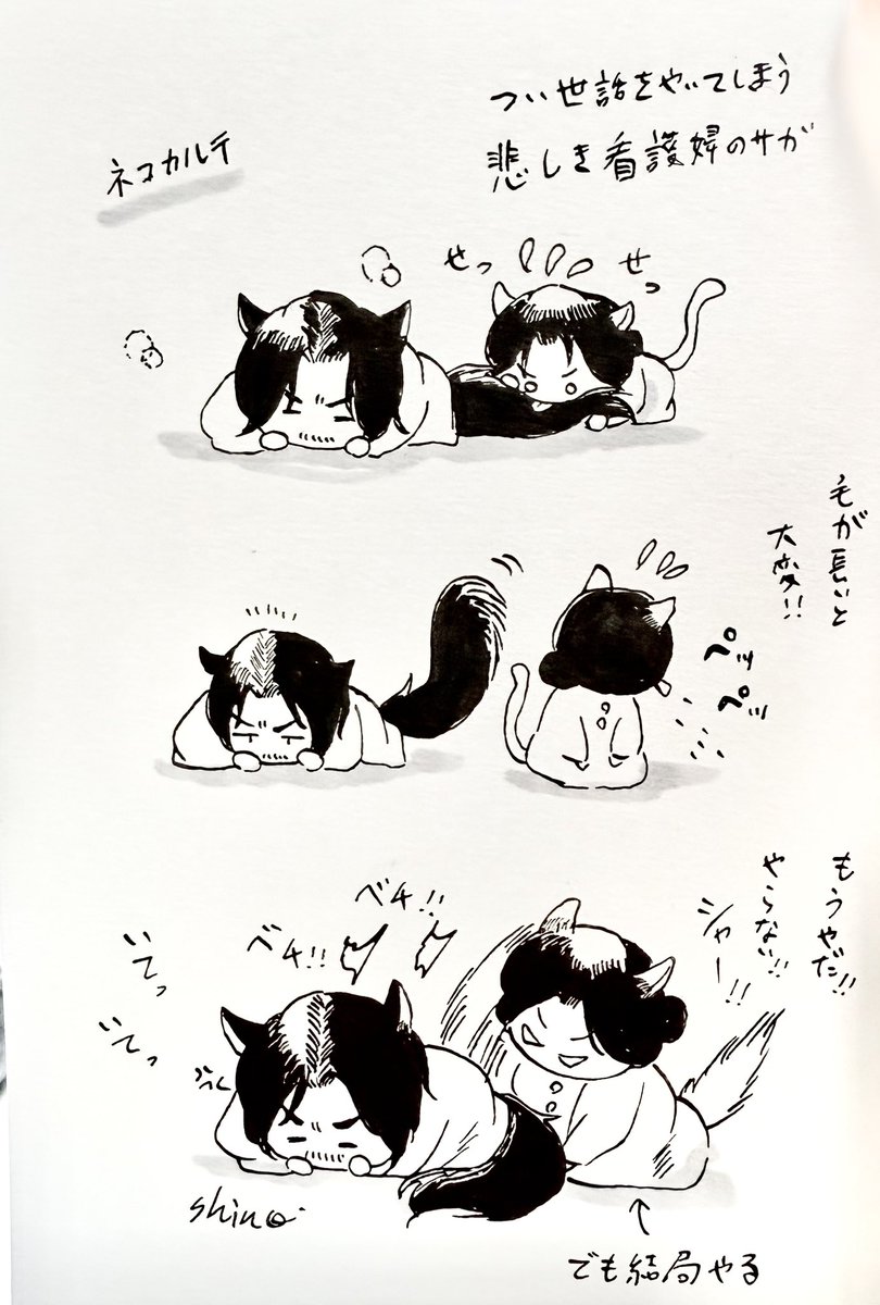 詩野ページ② ﾖｼﾉ on X