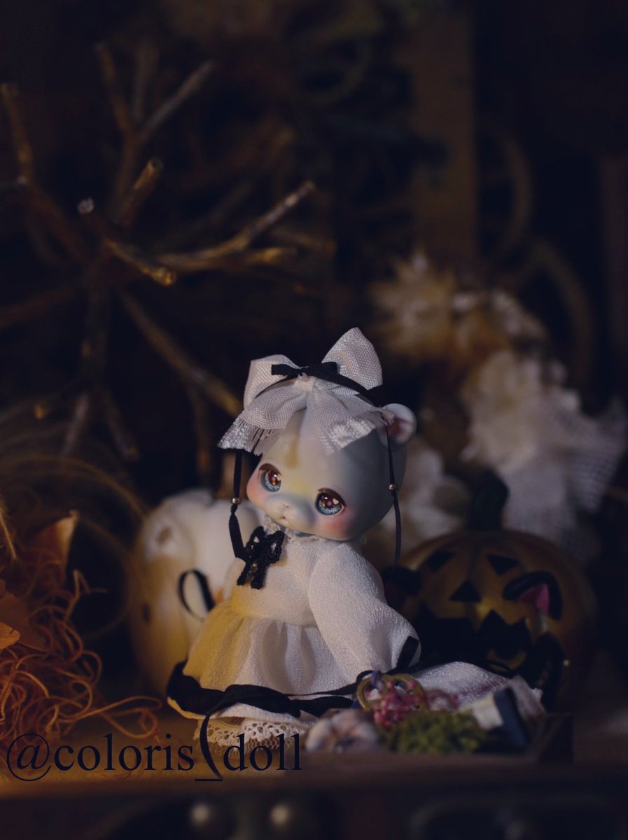 まち Su'Zoo🌗ミニチュアモールベア🧸 (@machisuzu96) / Posts / X