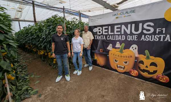 jaarcossanchez's tweet image. 🎃El nuevo amarillo Belenus en el Halloween de HM.Clause🎃

📝agroautentico.com/2025/11/el-nue…

📌Un invernadero de El Ejido convertido en un decorado de #Halloween para presentar la última variedad en #pimiento california amarillo de #HMClause

#Almeria #agricultores #semillas #seeds🎃🎃