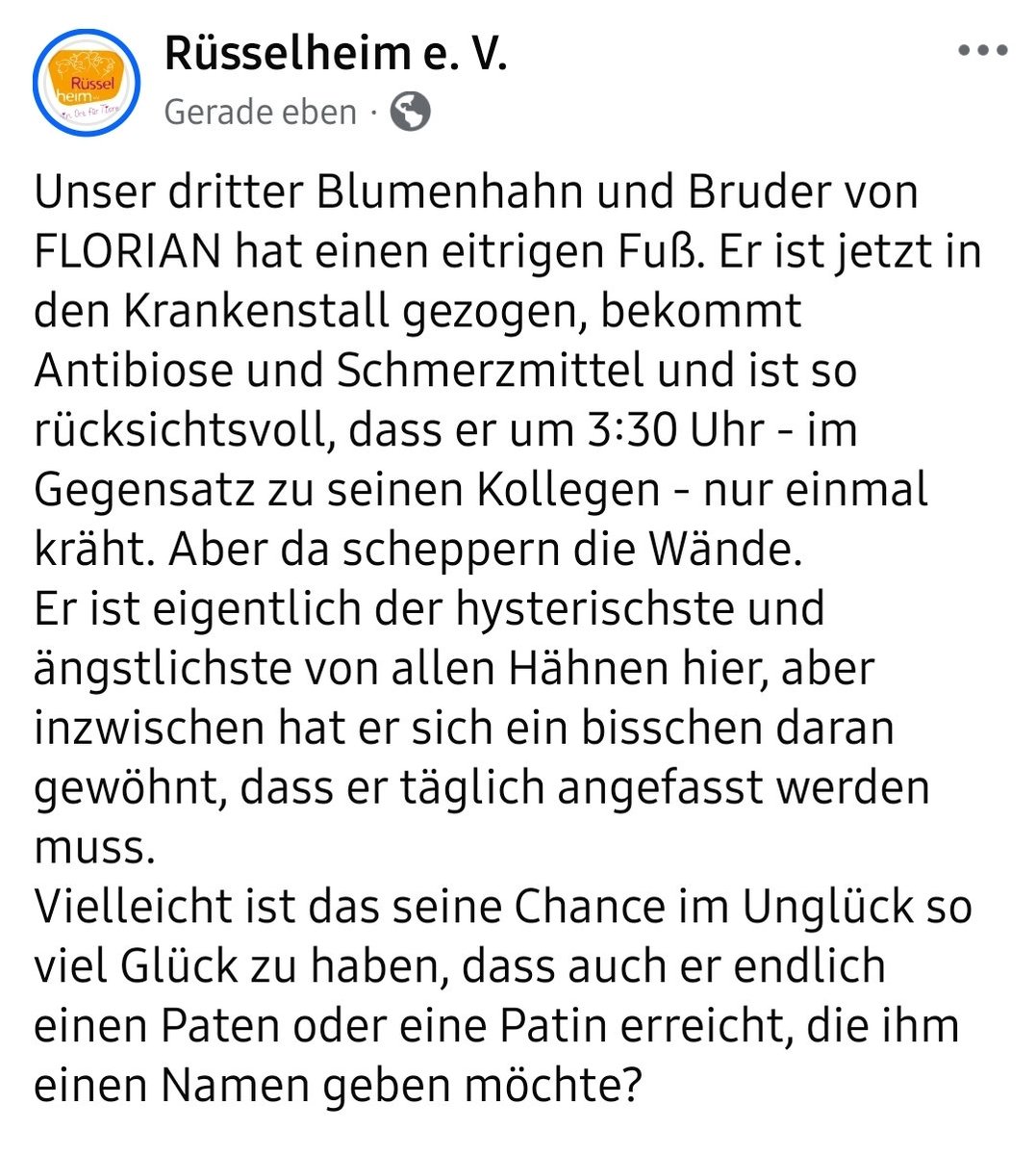 Dieser hübsche Kerl sucht noch Unterstützung! 🙏❤️🙏
Wer uns mit einer kleinen Einmalspende unterstützen möchte, kann etwas für den Erhalt unserer Päppelstelle spenden, denn sonst haben alle Tiere, die hier leben, ein großes Existenzproblem…
betterplace.org/de/projects/14…