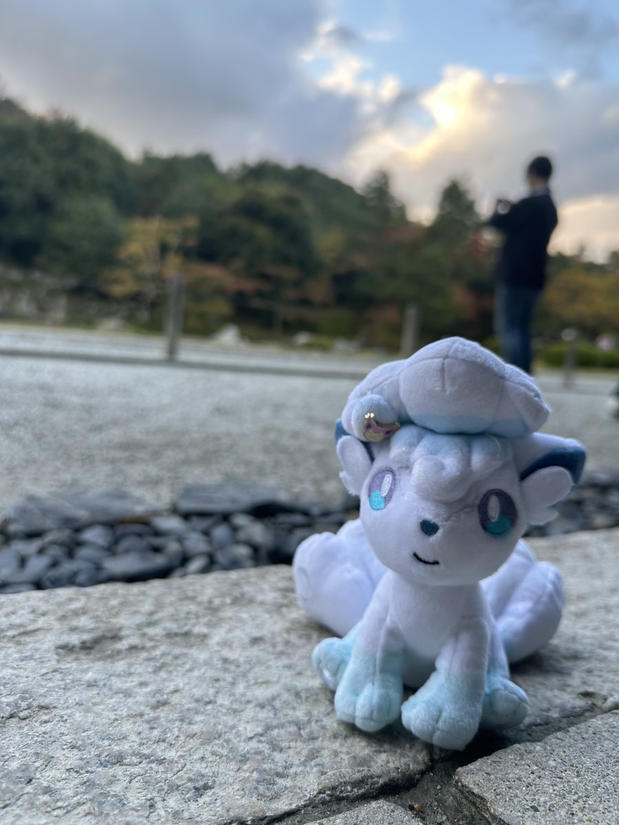 京都は渋くていいところでした