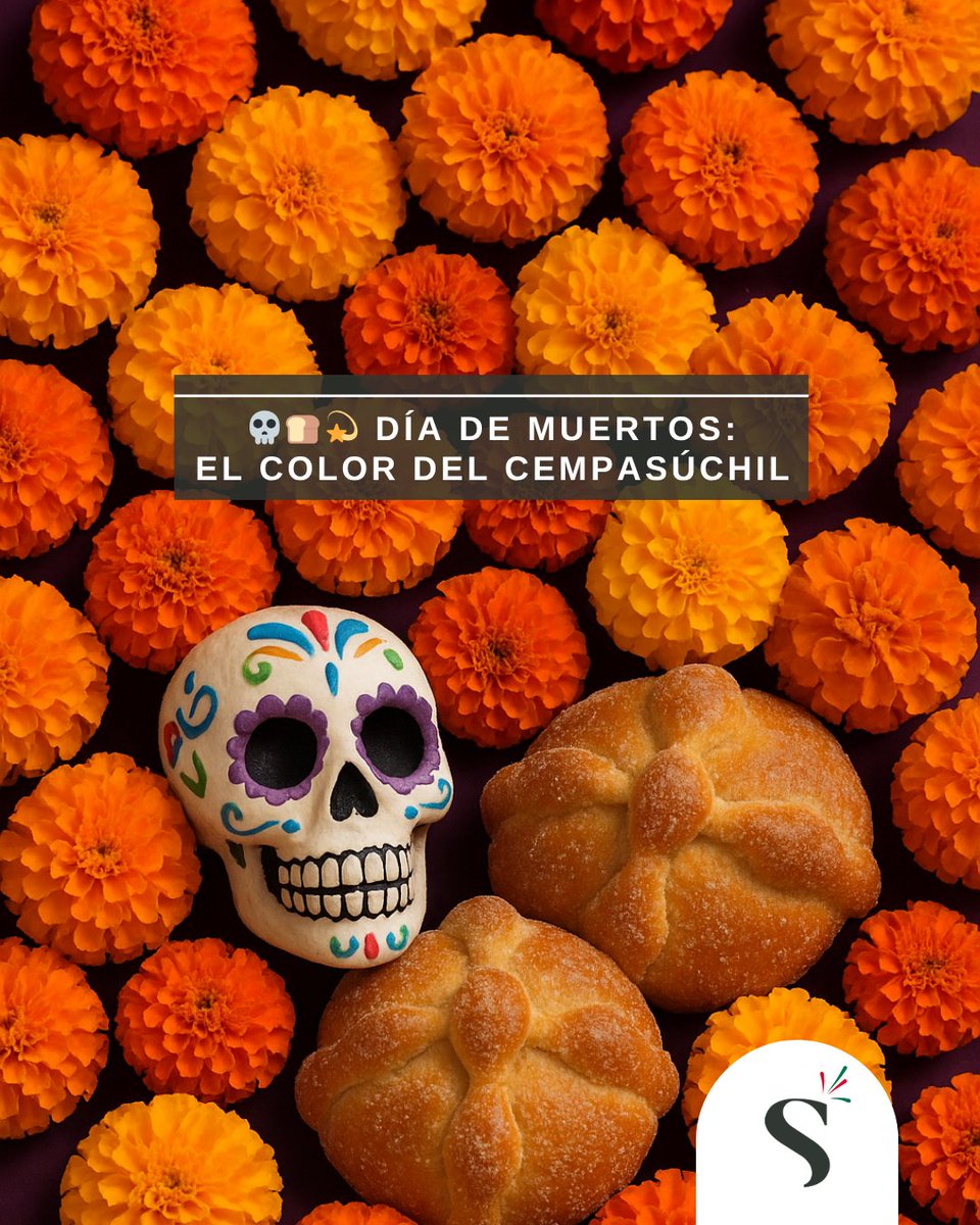💀🌼💀 En México, las flores de cempasúchil iluminan el camino de regreso en El Día de Muertos.

🍞🕯️💫 Pan de muerto, velas y flores nos recuerdan que la memoria también florece y que cada cultura honra la ausencia con su propia luz.

#DíaDeMuertos #Cempasúchil #SortemMéxico