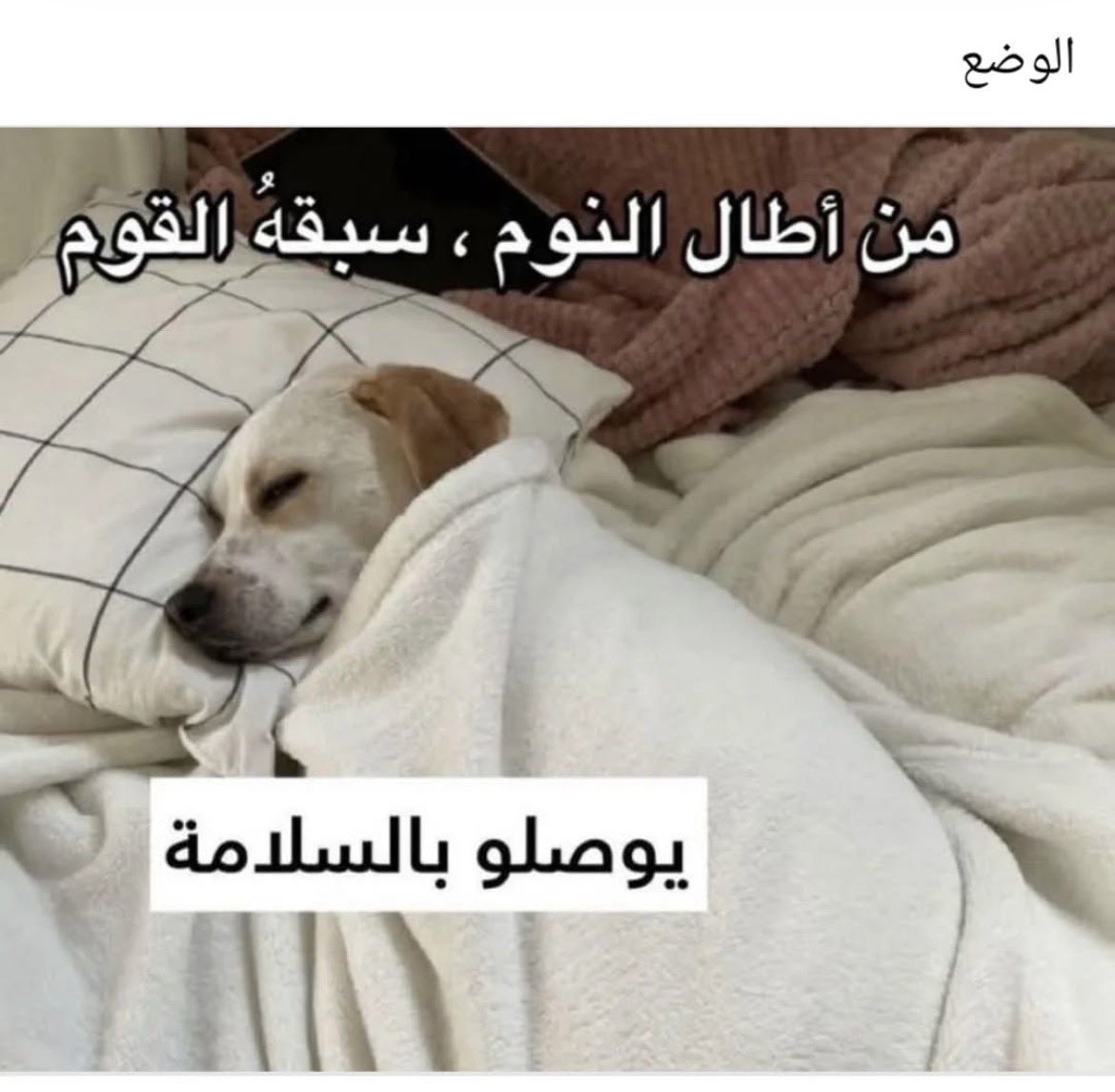 البندري🎀 (@as289_) on Twitter photo 