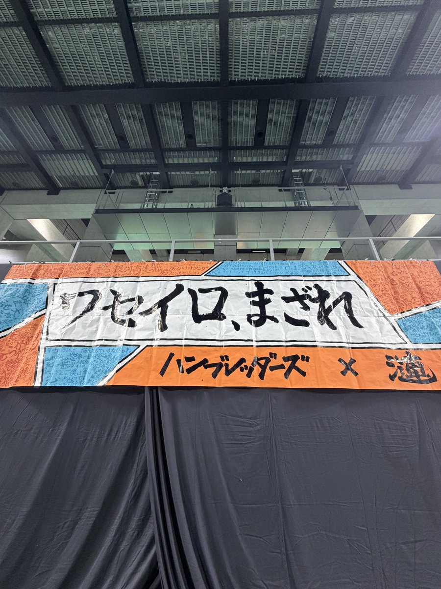新品未開封 廃盤 山崎ハコ ライブセット リマスター盤 ボーナス
