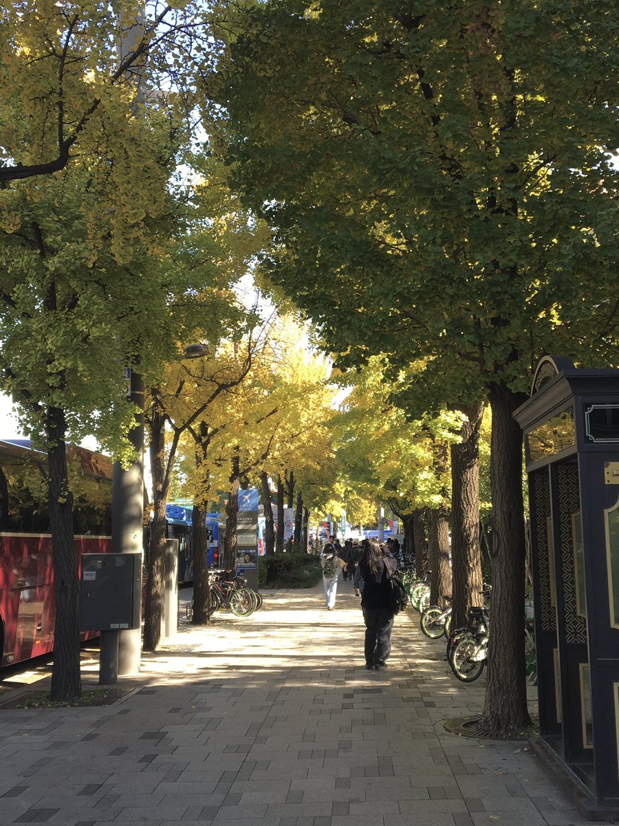 1ovelog's tweet image. 가을 귀하다 귀해