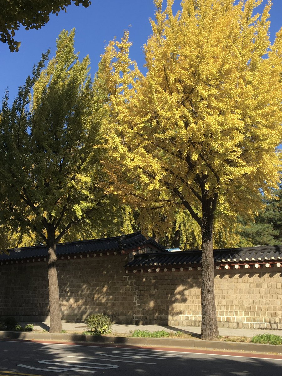 1ovelog's tweet image. 가을 귀하다 귀해