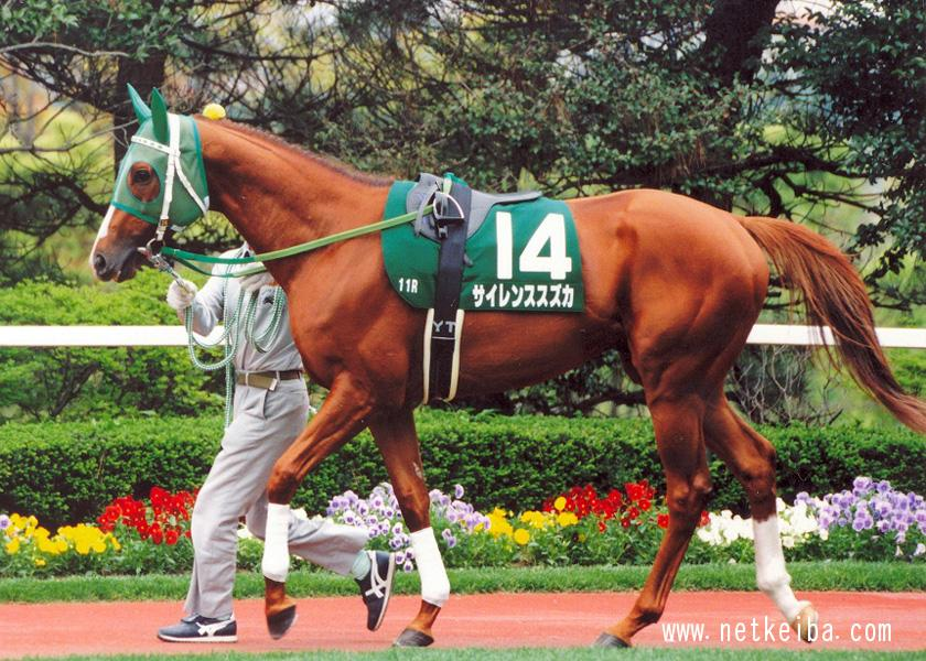 It's been 27 years since Silence Suzuka has galloped to the heavens 🙏

You are still very loved to this day, Suzuka-san.