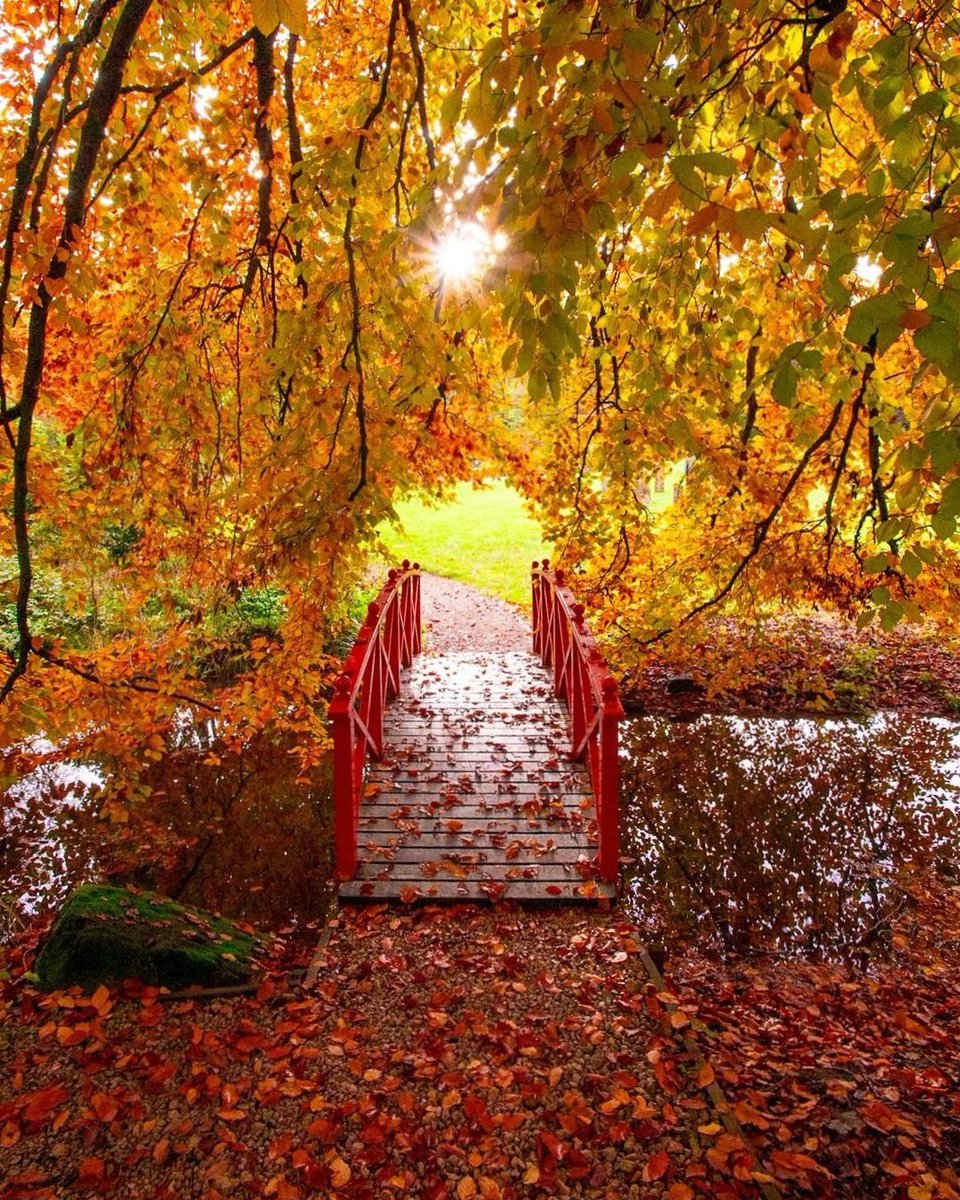 visitnorthyork's tweet image. Just can&apos;t get enough of Autumn 🍁