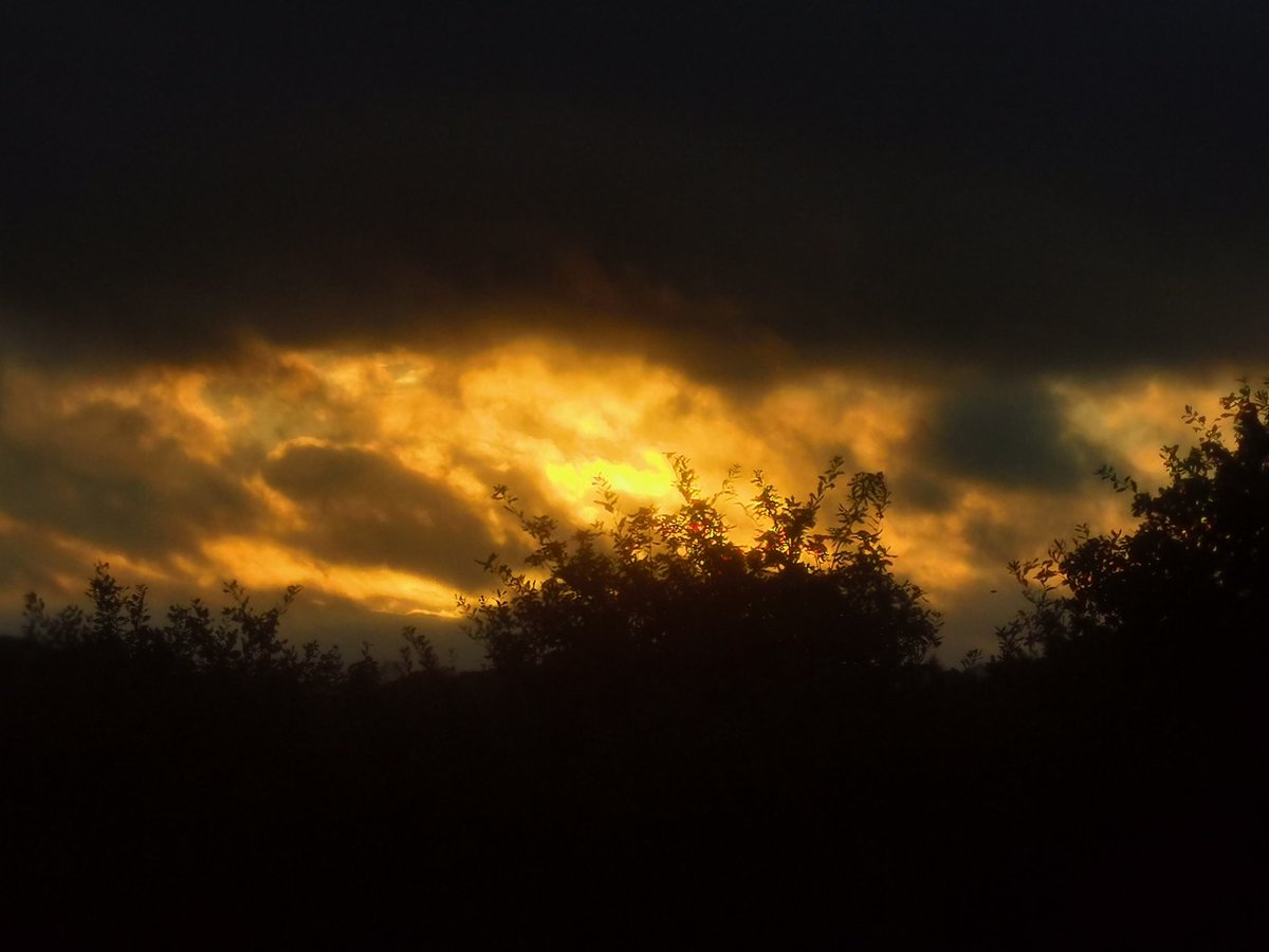 2 anos sen Verónica 😭
2 anos votandoa d menos cada día😩
2 anos lembrando tanto bo q fixo para mellorar está sociedade😢

Ninguén morre d todo mentras permanece nos nosos recordos e a  súa sabia e activa Defensa da Natureza e dos animais segue presente e axudando nesa dura loita