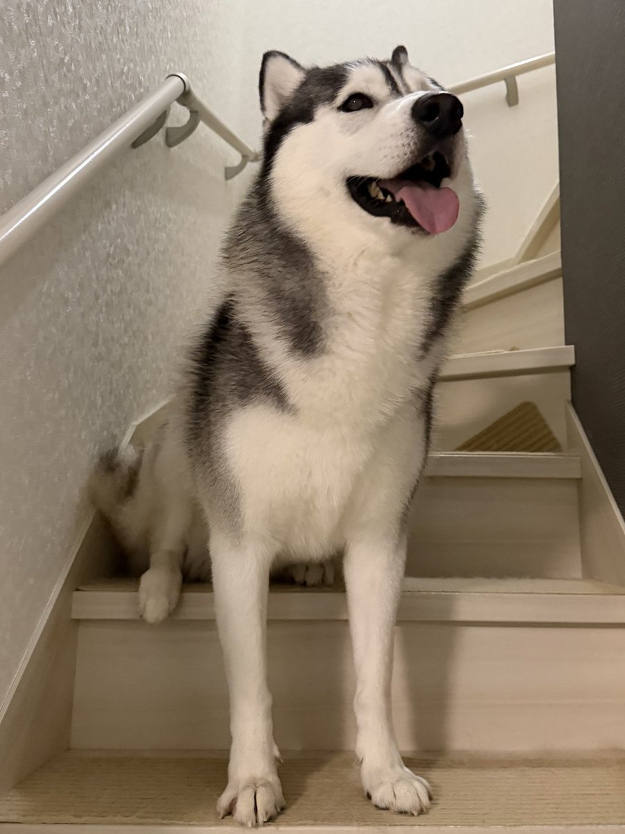 ジーニーさん専用ページ Genie(ジーニー) (@Genie_0213) / Posts / X