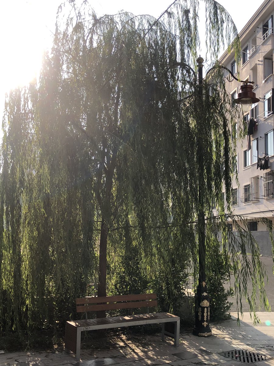 İş yerinde owerthink yapmak için harika bir köşe buldum