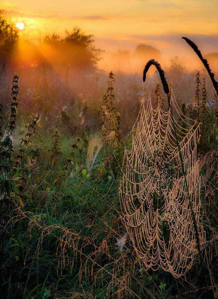tak kończy się ten dzień. A palce Boga głaszczą Ziemię...