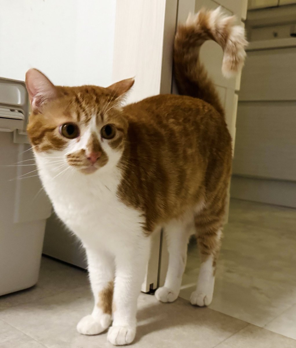 まりもちゃん！と🧌 (@marimo2021915) / Posts / X