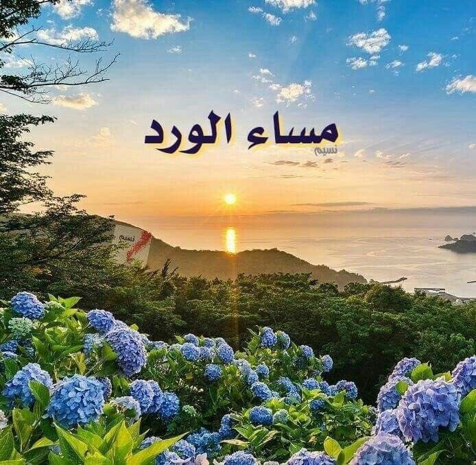 mariam srhan (@mariamsrhan) on Twitter photo 