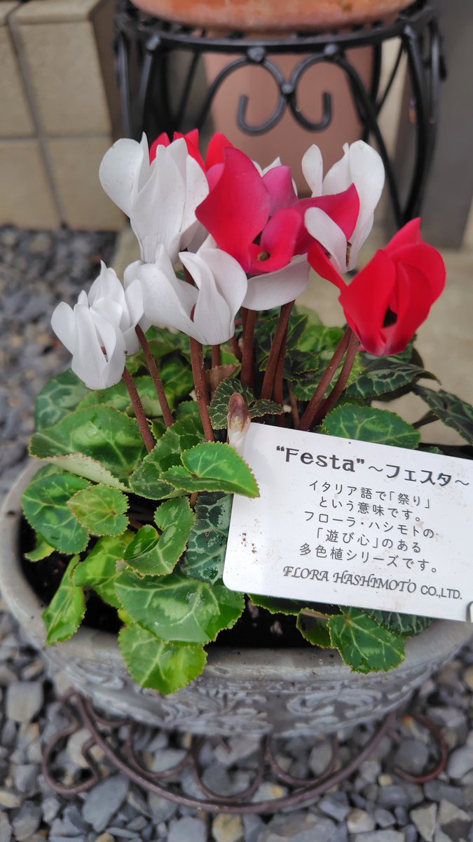 宇月三蔵☆時々未確認生命体 on X