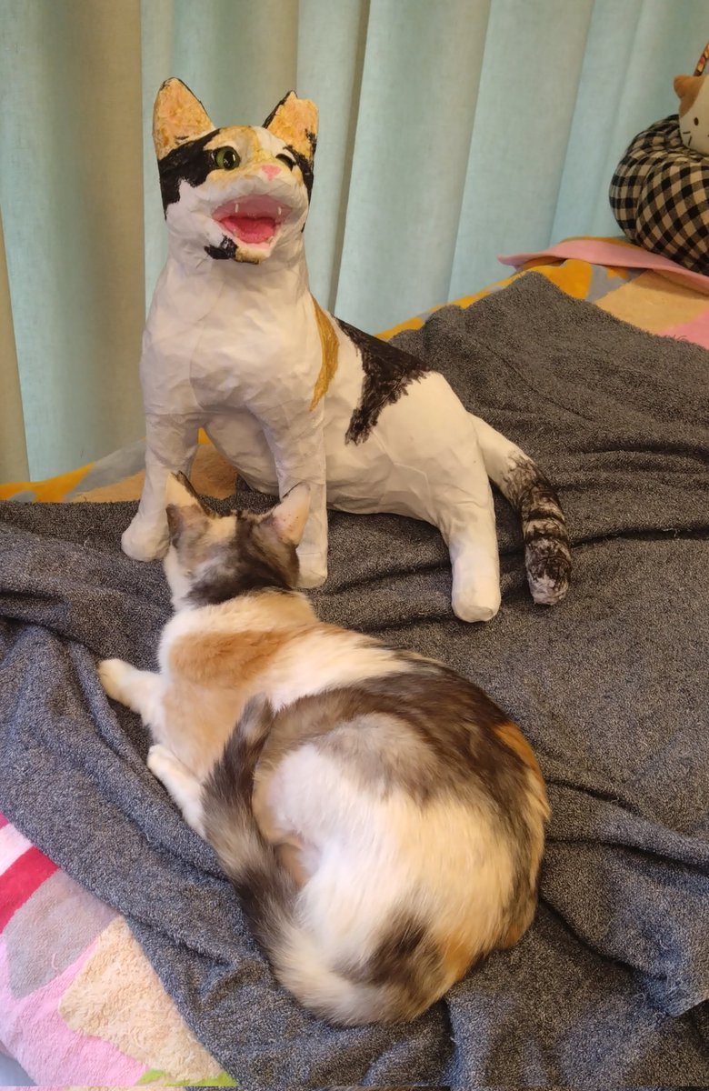 猫造形クリエイターのマークン・ネコガスキーさん（@markun_neko）が