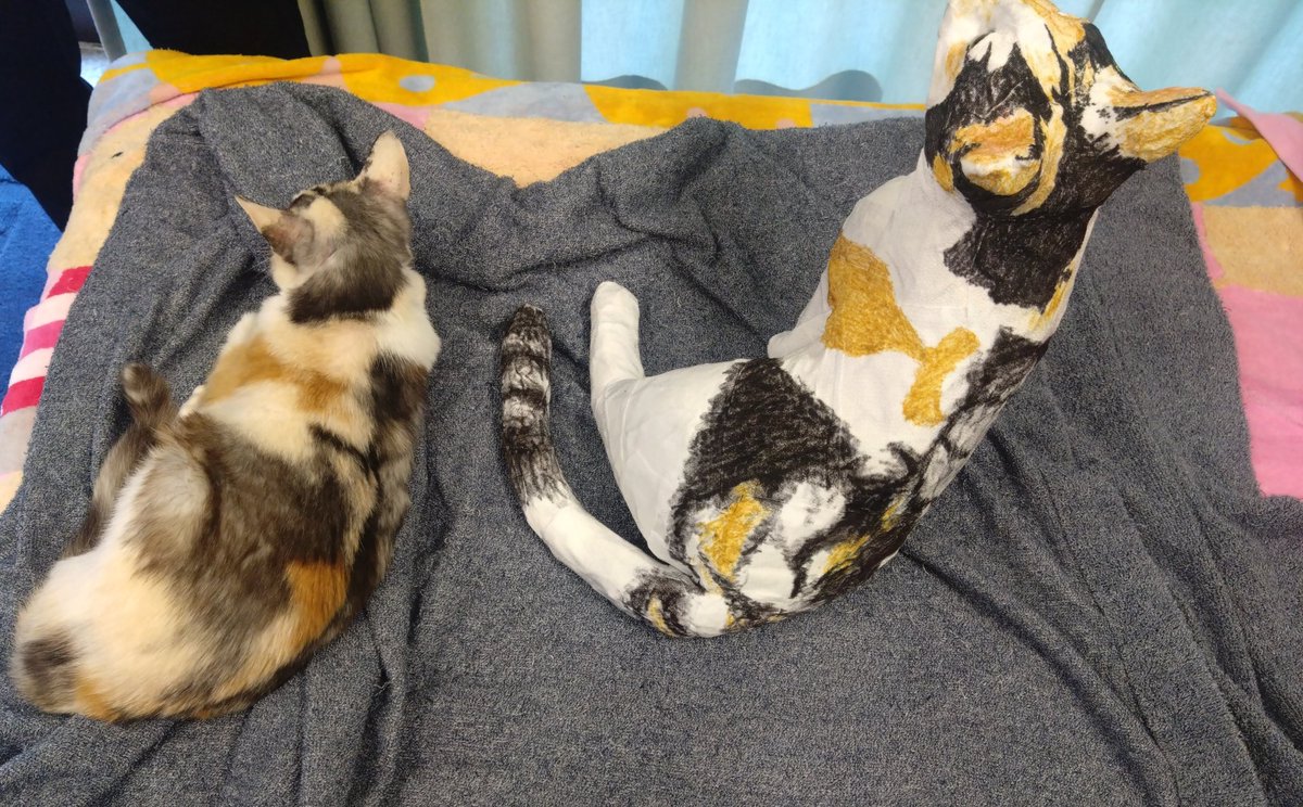 猫造形クリエイターのマークン・ネコガスキーさん（@markun_neko）が