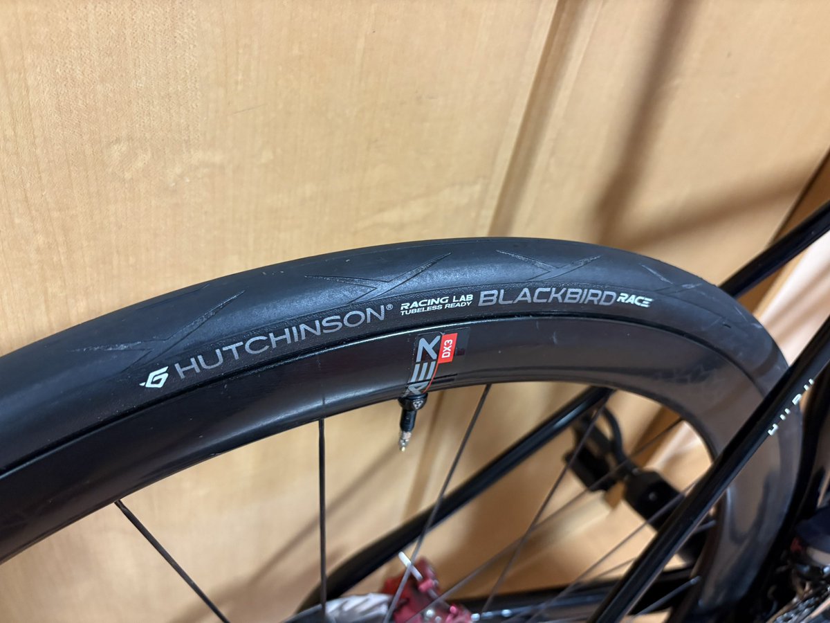 クロスブラックバード しろわん on X