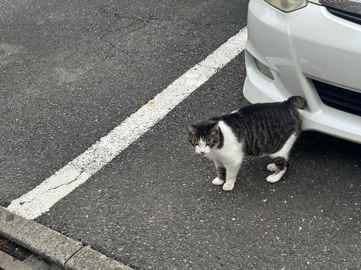 東京の写真これしかない