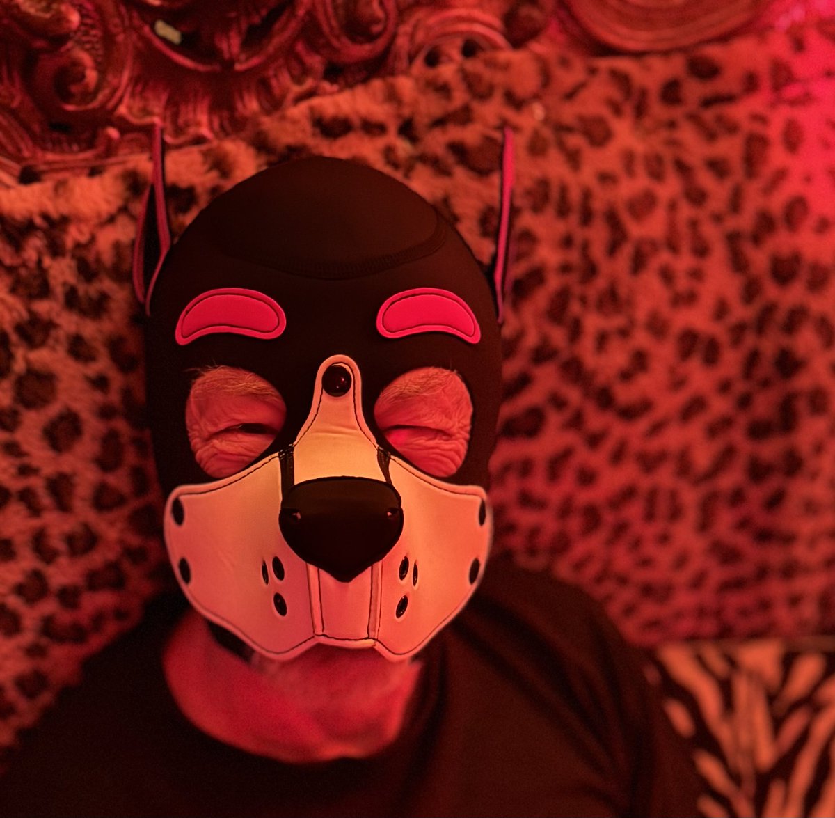 Maxed out at Mixer Bar <a href="/Q03388445/">Mixer攪拌器</a>