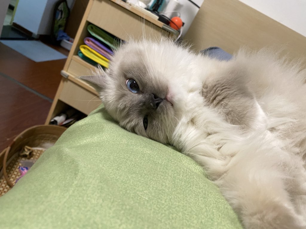 api_beer's tweet image. 逐渐模糊