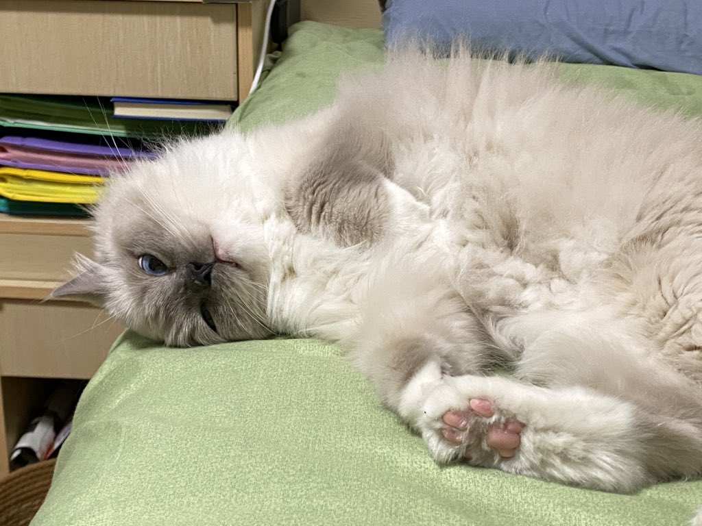 api_beer's tweet image. 逐渐模糊