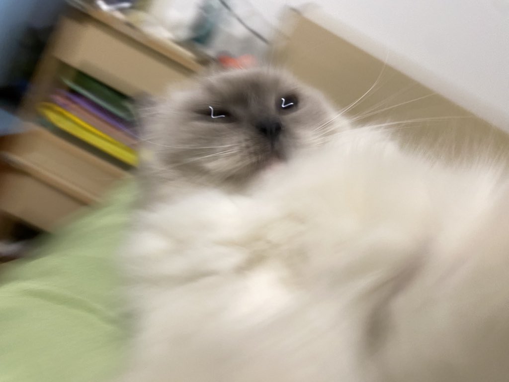 api_beer's tweet image. 逐渐模糊