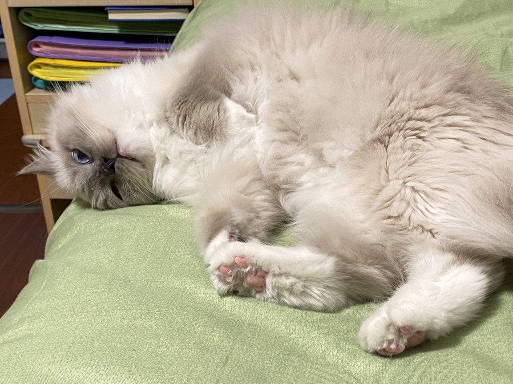 api_beer's tweet image. 逐渐模糊