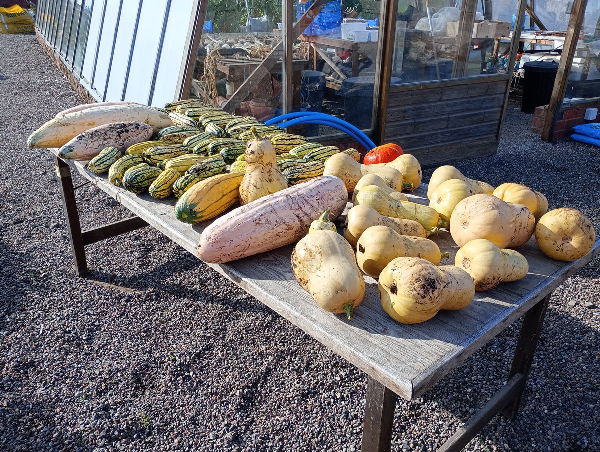 Sr Jessica tweet media