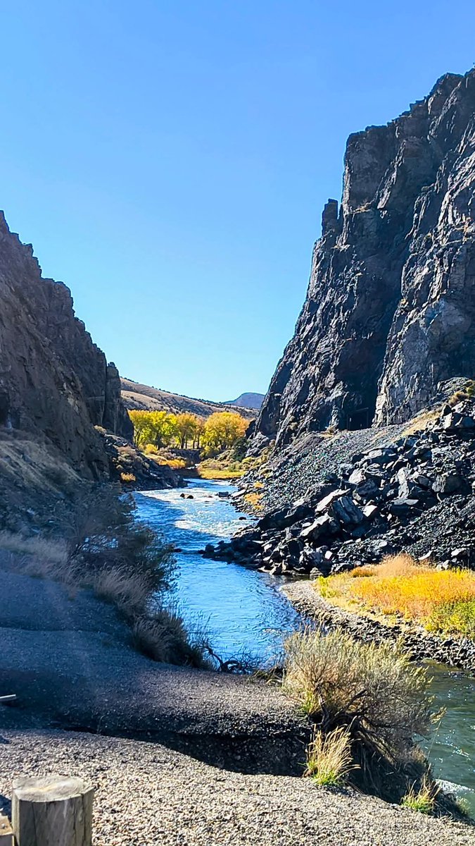 Sariixo Leaked Nude Sex tape @sariixo3 - Twitter Profile | Sotwe