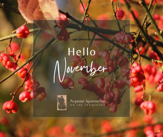 ✨Happy November 1st! ✨

Golden autumn light is glowing over #Cheltenham—perfect for races, Cotswolds escapes, or pure relaxation. Discover 12 unique #luxuryapartments: 5-star hotel vibes with total freedom! 

Book now: neptuneapartments.co.uk

#HappyNovember #NeptuneApartments