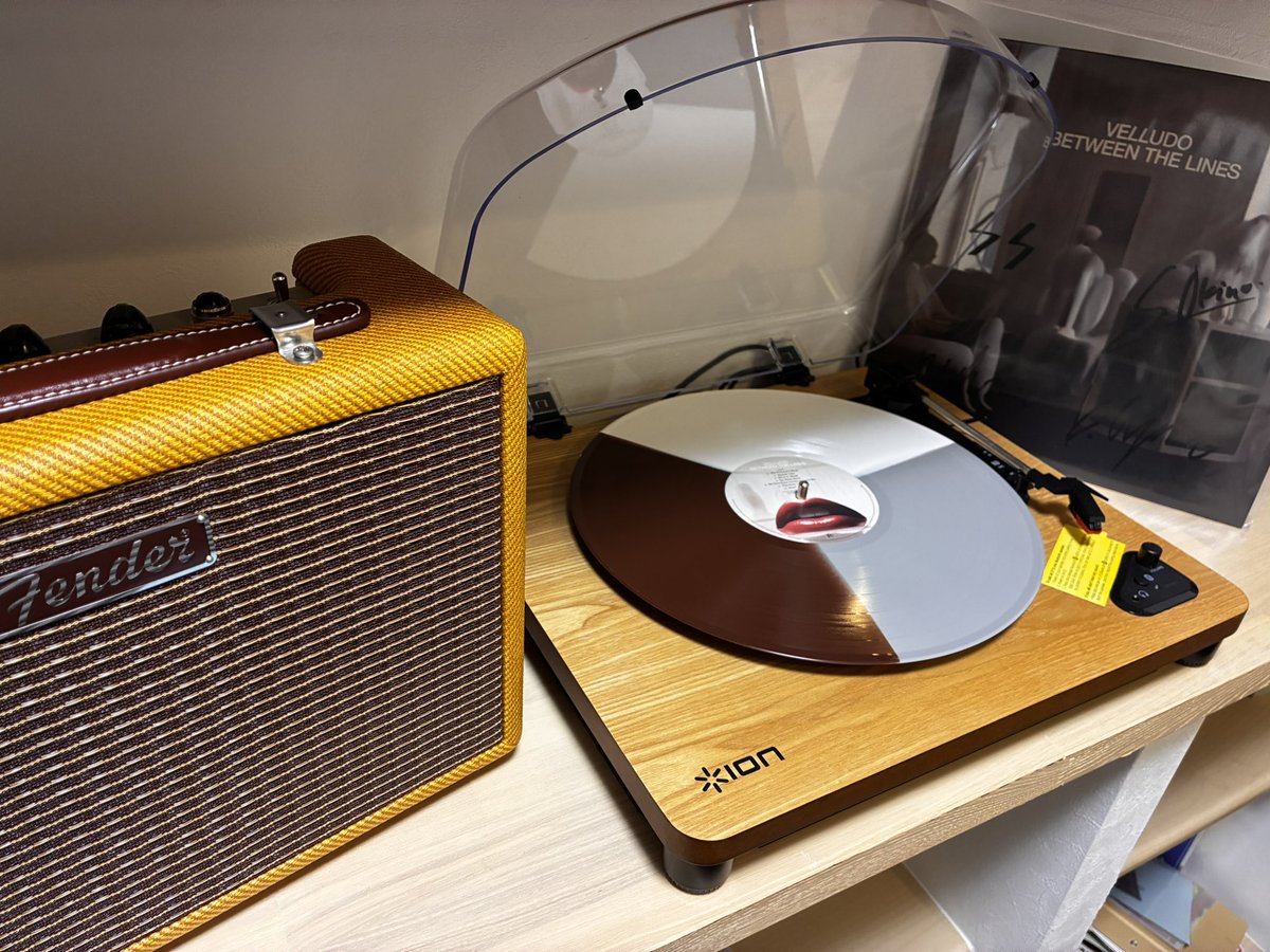 「初期衝動」と「時間の蓄積」が同じ場所にあるLP。
荒くてまっすぐな気持ちが、酸いも甘いも通り抜けたあと消えずに、そのまま時間をくぐり抜けて今に届いている。
若さも成熟もあって、どちらかに寄らず、ただ呼吸している。
LPで聴くと、その“初期衝動の残響”が空気の奥から立ち上がってくる。