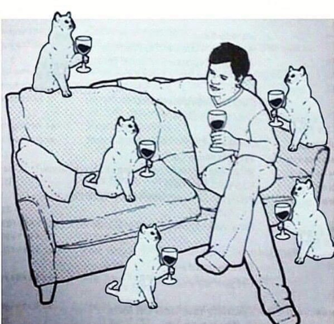 LeDibZ.miaou tweet media