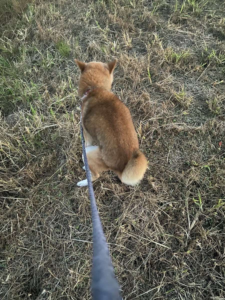 ピグレット様　ご相談 お問い合わせ - 社会福祉法人ぴぐれっと