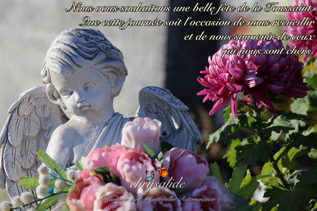 LireChrysalide's tweet image. #Toussaint 🙏