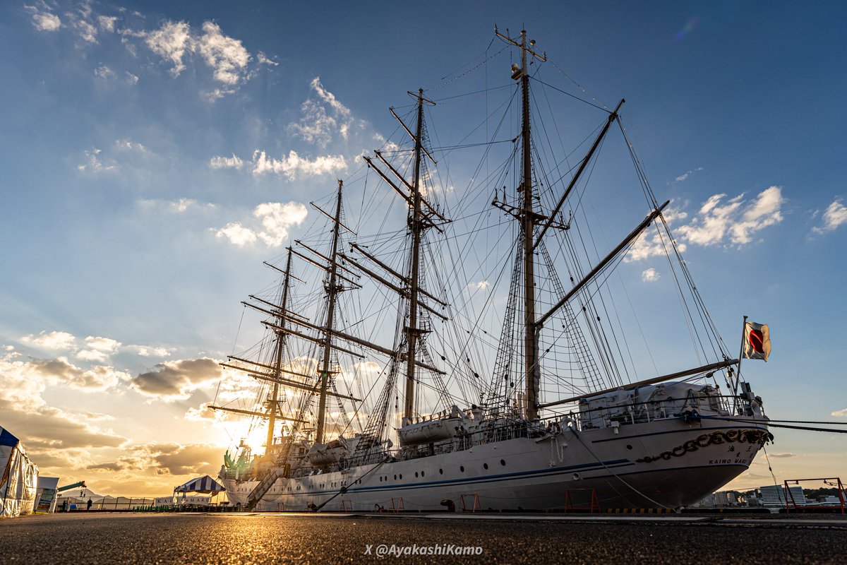 ⚓妖の類📷 on X