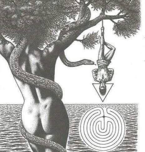Awakenthyself33 tweet picture