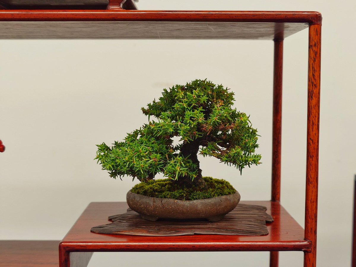 竹花器x2 ELM ページ 竹花器x2 ELM ページ 竹花器x2 ELM ページ Building A Sinclair